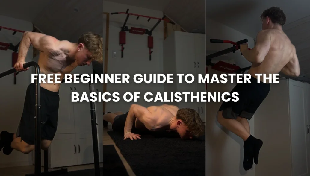 FREE Beginner Guide To Master The Basics