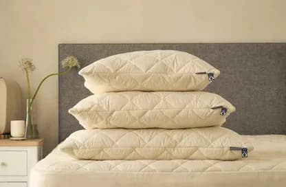 NON TOXIC PILLOWS 