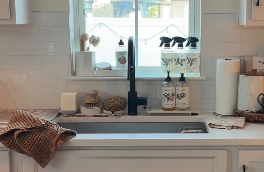 NON TOXIC KITCHEN SINK SETUP