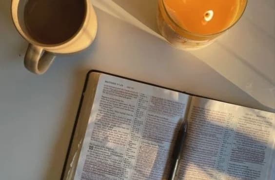 Beginner Bible Link (She Reads Truth)