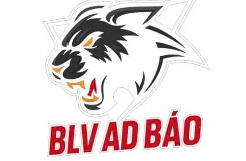 BLV Ad Báo