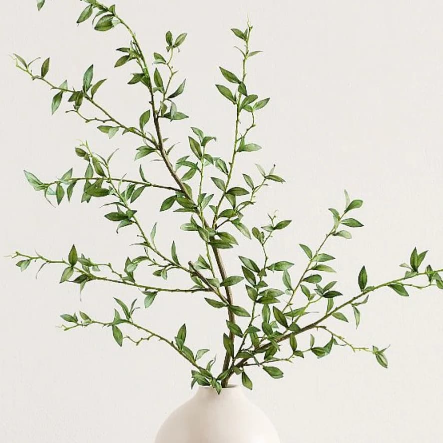 Green Leaf Branch