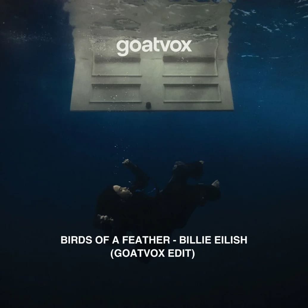 Birds of a feather -  Billie Eilish (goatvox edit)