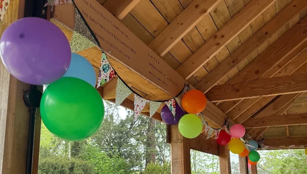 Birthday Parties