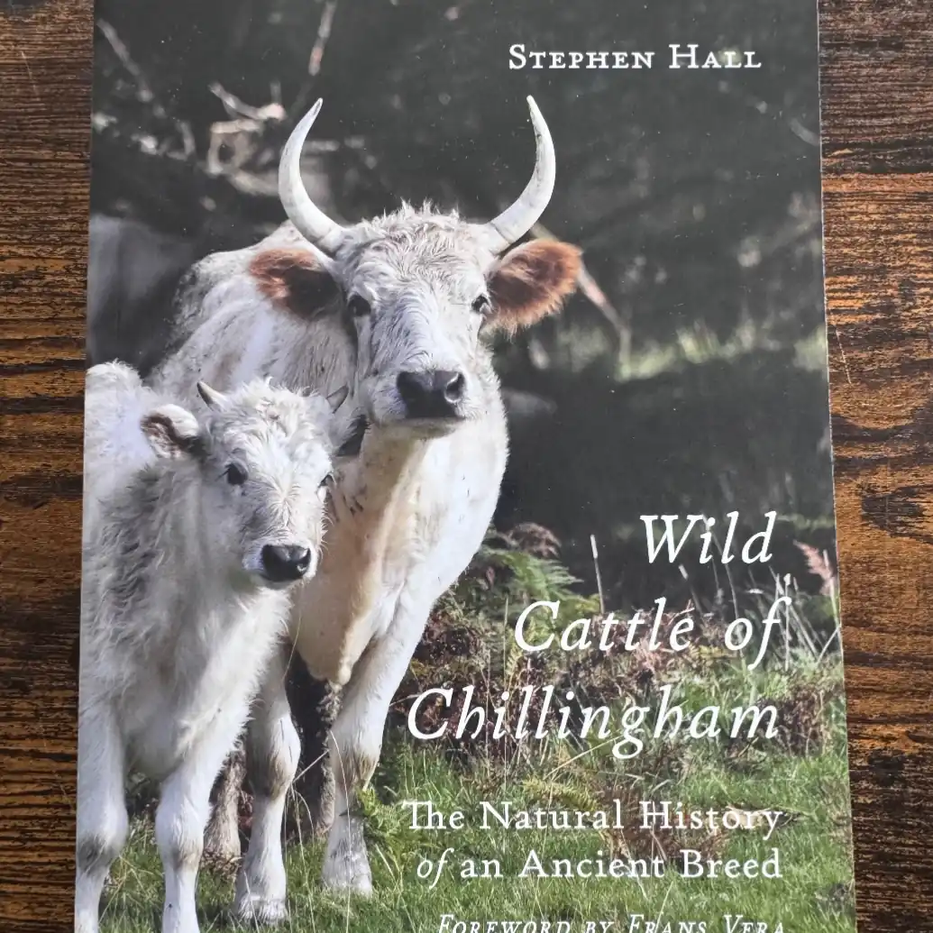 Read our latest book