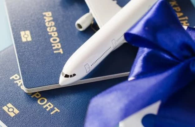 How to Navigate Delta Airlines Carry-On Bag Fees?