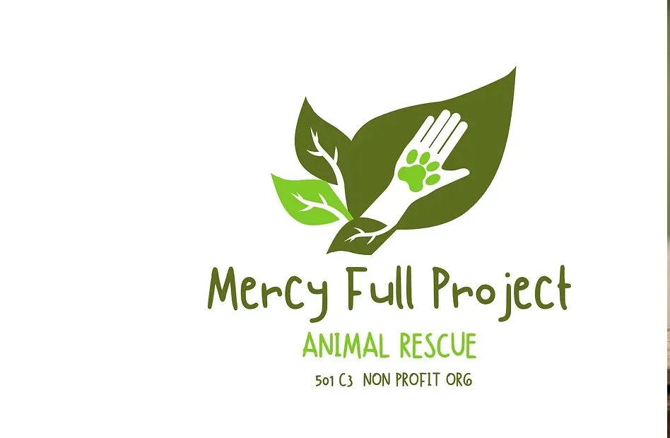 Foster/Adopt | Mercy Full Project 
