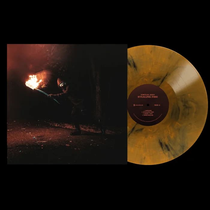 Vinyl Preorder