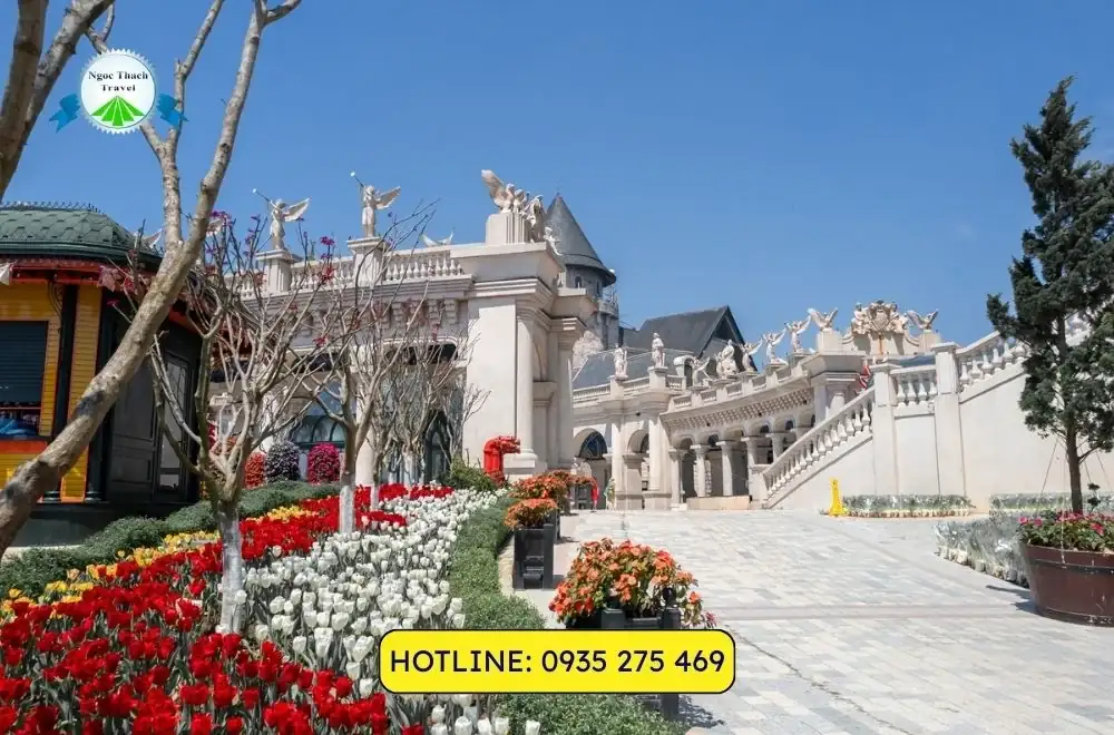 Lễ Hội Hoa Tulip Bà Nà 2026: Thời Gian, Địa Điểm & Kinh Nghiệm Tham Quan Chi Tiết