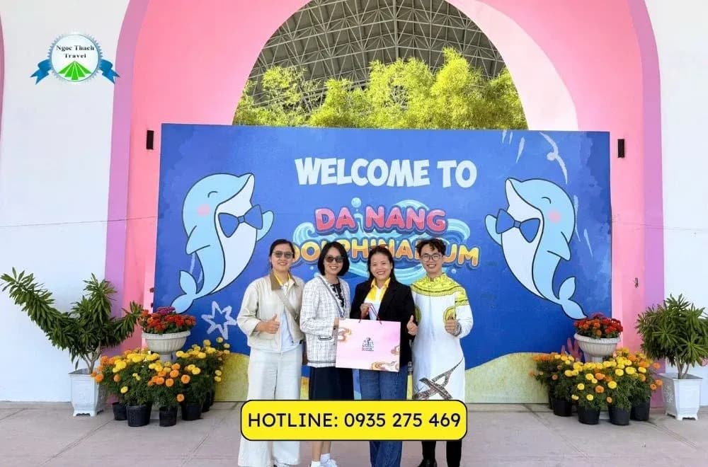 Show Cá Heo Danang Dolphinarium 2026 