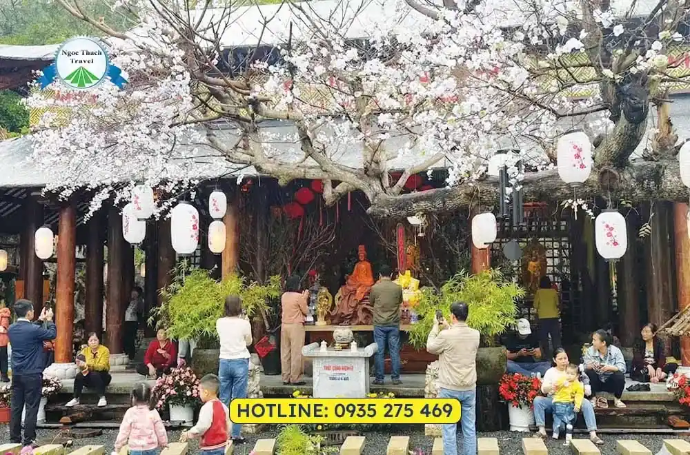 Du Lịch Tết Đà Nẵng: Kinh Nghiệm Vui Chơi Từ A–Z