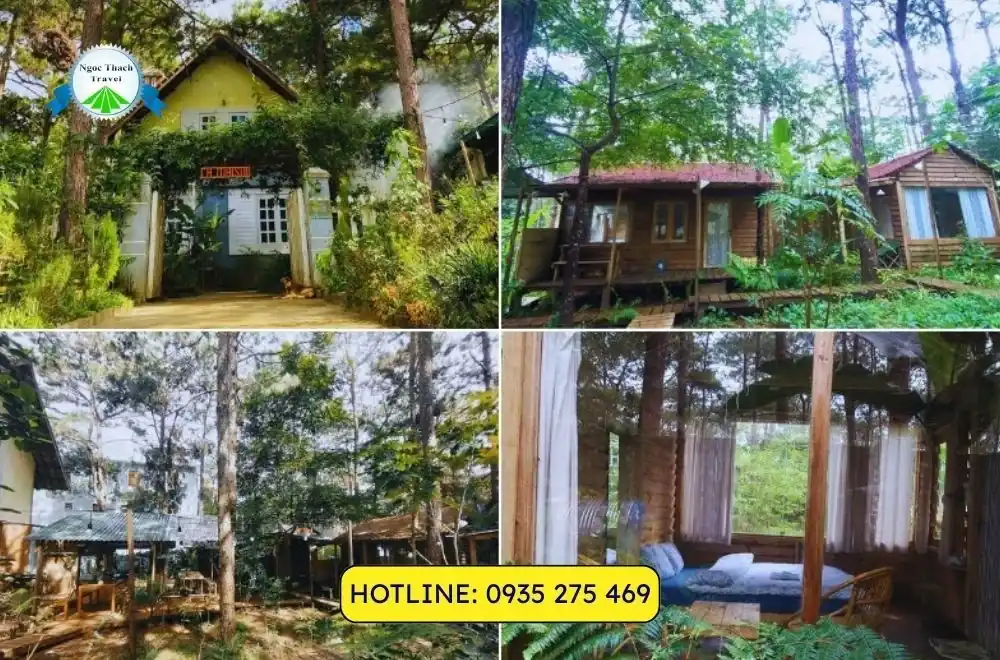 Top 15+ Homestay Măng Đen Được Du Khách Yêu Thích Nhất
