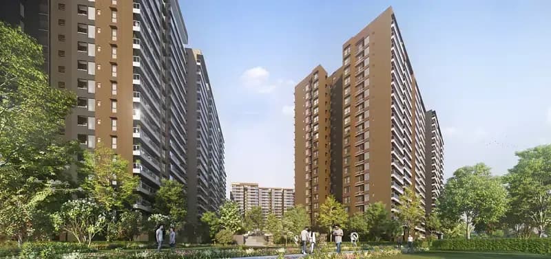 Prestige Evergreen Contact 