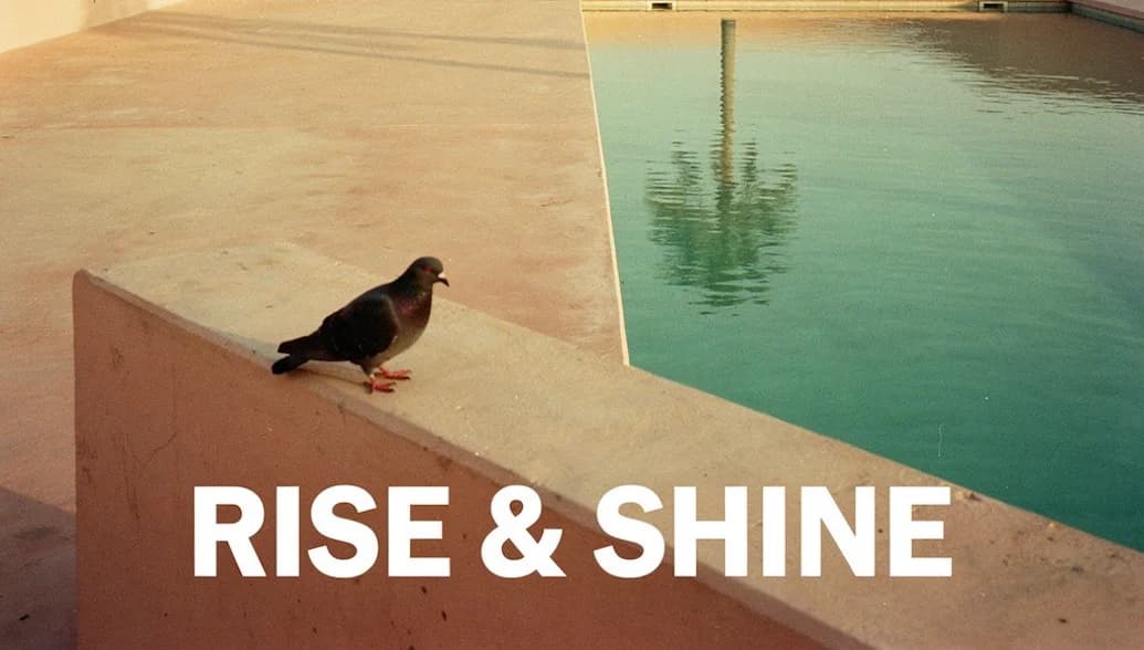 Latest Release "Rise & Shine"