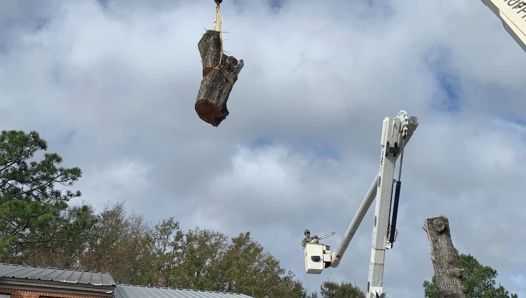Wiese Tree Service LLC on Bunity