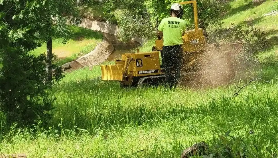Sindt Tree Service on Cataloxy