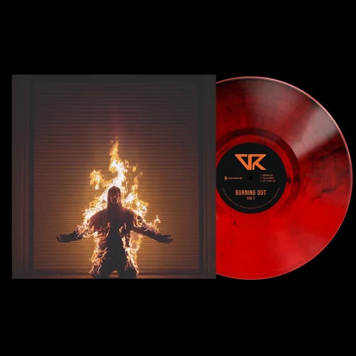 Vinyl - Virtual Riot - Burning Out