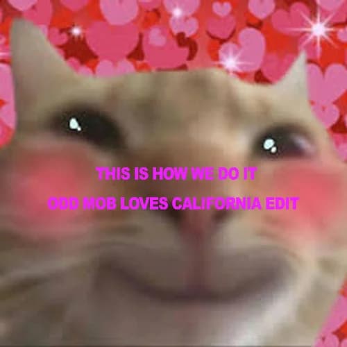 THIS IS HOW WE DO IT (ODD MOB LOVES CALIFORNIA EDIT)