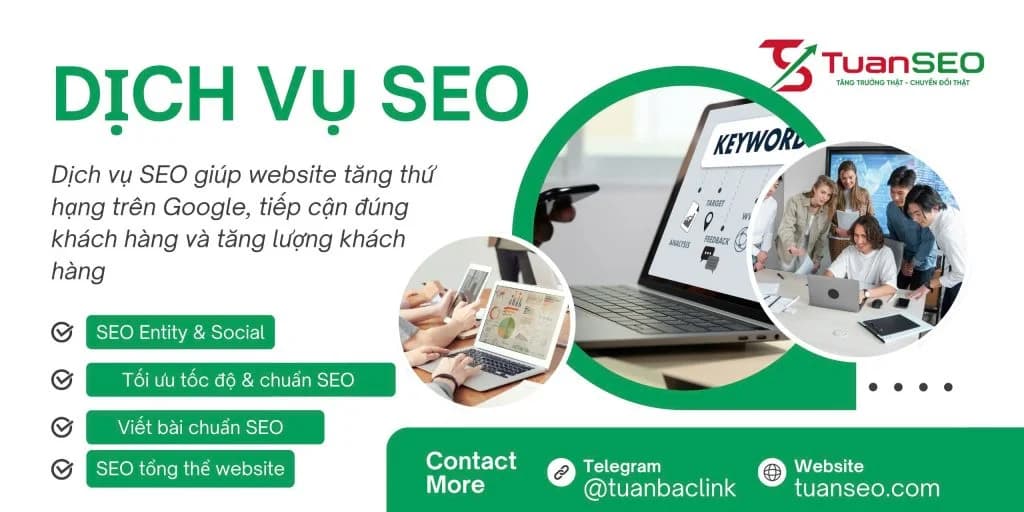 Dịch Vụ SEO Website, Thiết Kế Web Chuẩn SEO Backlink Entity
