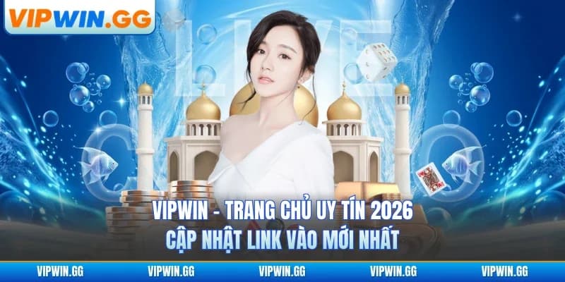 VipWin