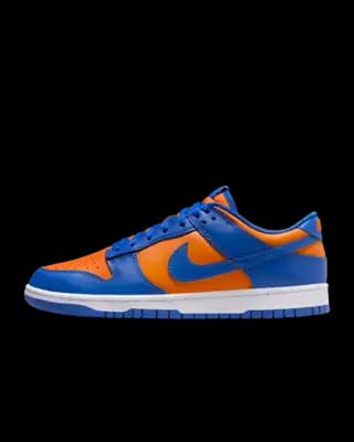 Nike Dunk Low Retro Men's Shoes