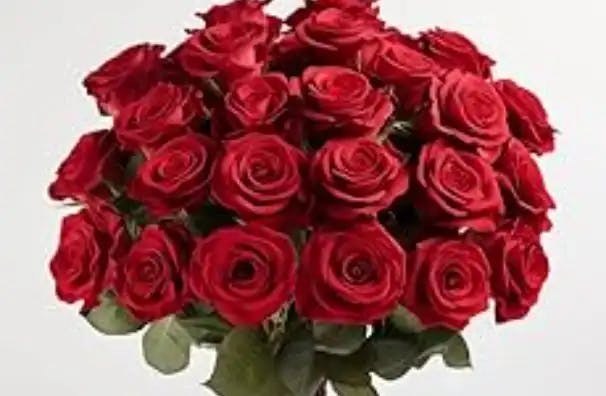 Benchmark Bouquets 24 stem Red Roses
