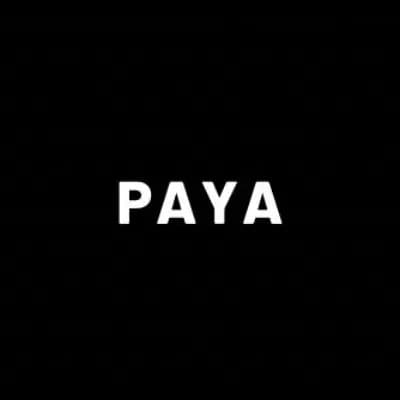 Paya Management's profile image